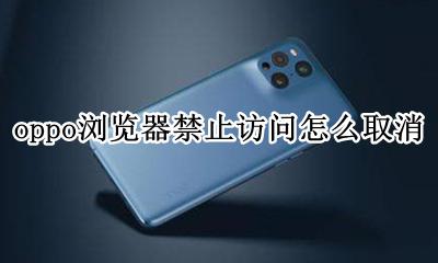 oppo浏览器禁止访问怎么取消 oppo手机访问限制在哪里设置