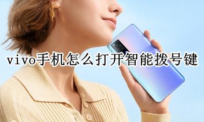 vivo手机智能拨号键在哪里 vivo手机怎么打开智能拨号键