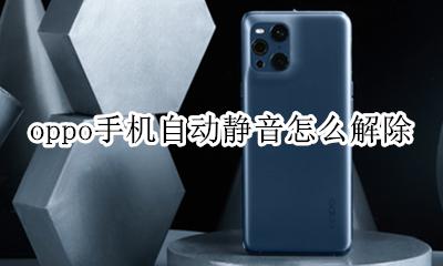 oppo手机自动静音怎么解除 oppo手机自动静音怎么回事