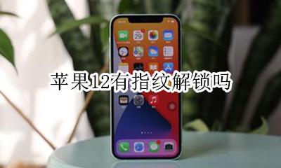 苹果12有指纹解锁吗 苹果12可以指纹解锁么