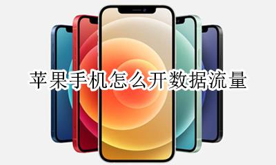 苹果手机怎么开数据流量 苹果手机哪里开数据流量