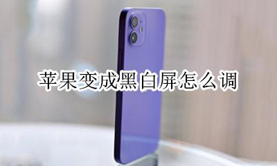 苹果黑白屏怎么调整 苹果变成黑白屏怎么调