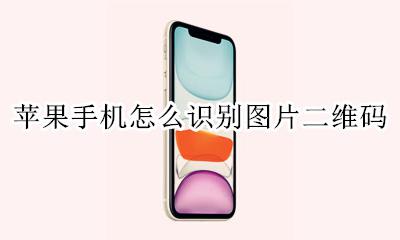 苹果手机怎么识别图片二维码 苹果手机怎么识别照片中的二维码