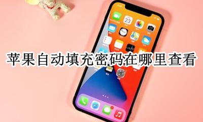 苹果自动填充密码在哪里查看 苹果的自动填充密码功能在哪里去设置