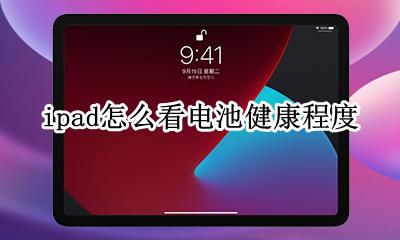 ipad怎么看电池健康程度 ipad怎么样看电池健康程度