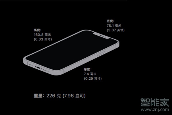 苹果12pro max尺寸