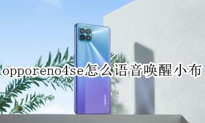 opporeno4se怎么语音唤醒小布 opporeno4se可以语音唤醒小布吗