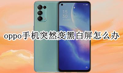 oppo手机突然变黑白屏怎么办 oppo手机突然变成黑白屏怎么恢复