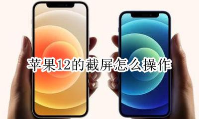 苹果12如何进行截屏 苹果12的截屏怎么操作
