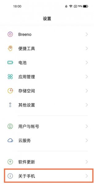 realmeq3开发者选项在哪里