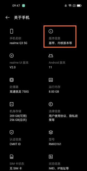 realmeq3开发者选项在哪里