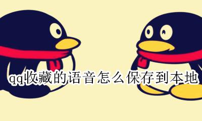 qq收藏语音保存到手机 qq收藏的语音怎么保存到本地