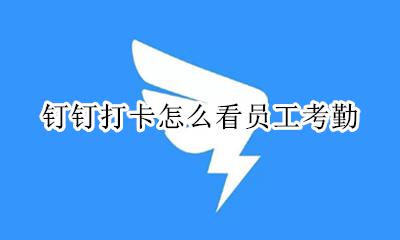 钉钉打卡怎么看员工考勤 钉钉打卡怎么看自己考勤