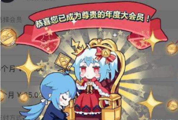 哔哩会员能2个人一起用吗