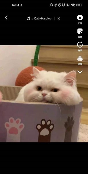 抖音怎么生成图集