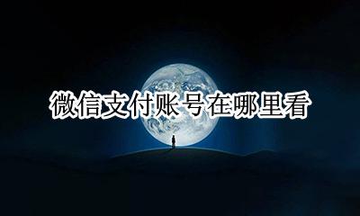 微信支付账号在哪里看 微信支付怎么查看对方微信号