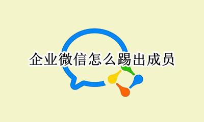企业微信怎么踢出成员 企业微信进不去了是企业把我踢出了吗