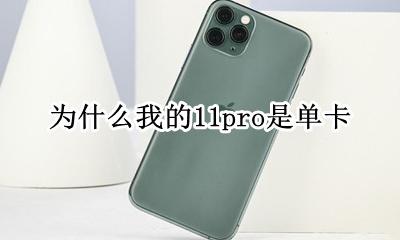 为什么我的11pro是单卡 为什么我的11promax是单卡