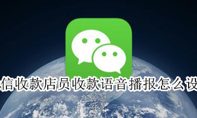 店铺微信收款语音播报怎么设置 微信收款店员收款语音播报怎么设置