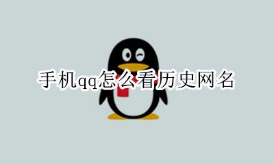 手机qq怎么看历史网名 在手机上qq历史网名怎么查询