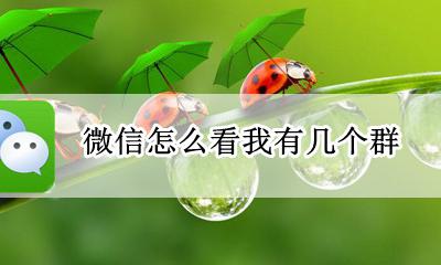 微信怎么看我有几个群 怎么看我的微信群有几个