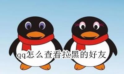 qq怎么查看拉黑的好友 qq如何查看拉黑的好友
