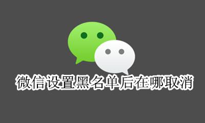 微信设置黑名单后在哪取消 怎样取消对方微信黑名单上的人
