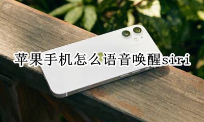 苹果手机怎么语音唤醒siri 苹果手机怎么语音唤醒小爱同学