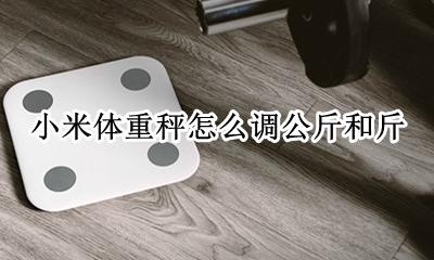 小米体重秤怎么调公斤和斤 小米电子秤怎么调成自己想要的斤数
