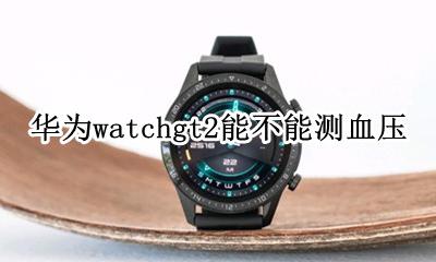 华为gt2有没有测血压功能 华为watchgt2能不能测血压