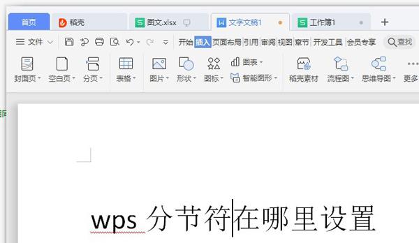 wps分节符在哪里设置