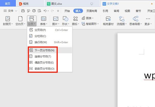 wps分节符在哪里设置