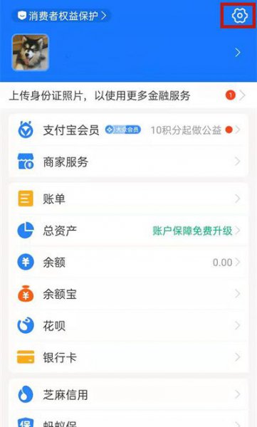 小天才d2可以用支付宝吗