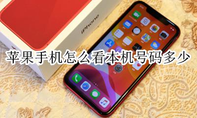 苹果手机怎么看本机号码多少 苹果手机怎么看自己的本机号码