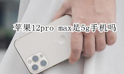 苹果12pro max是5g手机吗 苹果12pro max为啥不是12g