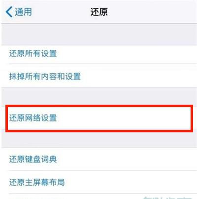 苹果怎么还原网络设置