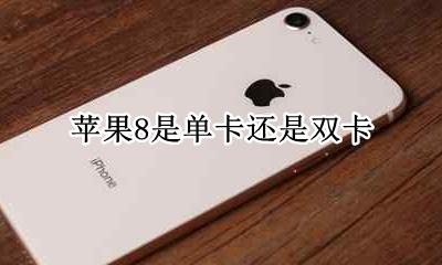 苹果8是双卡吗? 苹果8是单卡还是双卡
