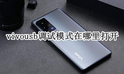 vivousb调试模式在哪里打开 vivoz1usb调试模式怎么打开