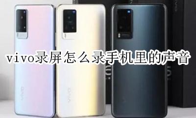 vivo录屏怎么录手机里的声音 vivo录屏时怎样才能录到声音