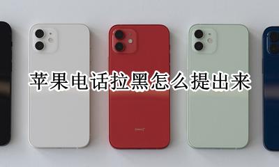 苹果电话拉黑怎么提出来 怎么设置苹果拉黑电话提示什么