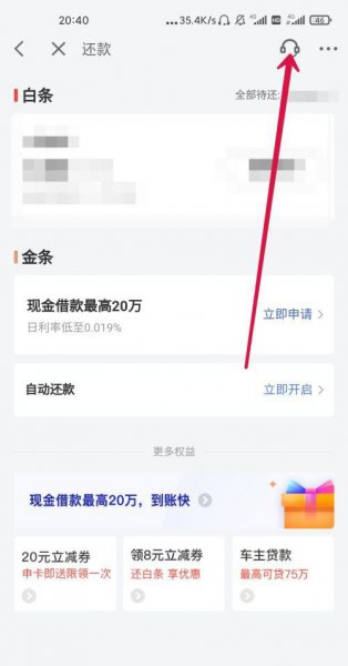 京东白条一次性还款怎么操作