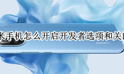 小米手机怎样关闭开发者选项 小米手机怎么开启开发者选项和关闭