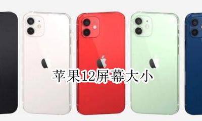 苹果12屏幕大小 苹果12pro屏幕大小