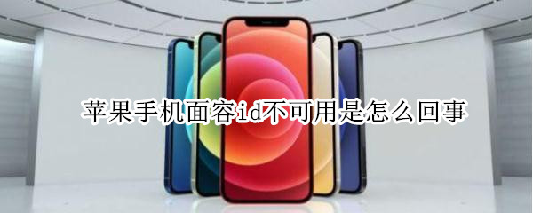 苹果手机面容id不可用是怎么回事