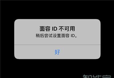 苹果手机面容id不可用是怎么回事