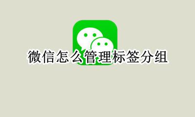 微信怎么管理标签分组 微信如何添加标签分组
