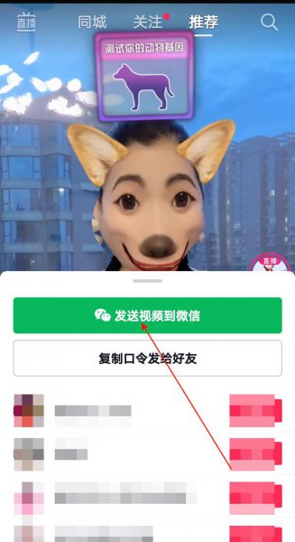抖音怎样只发给特定人