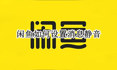闲鱼如何设置消息静音 如何取消闲鱼回复声音