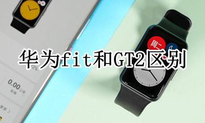 华为fit和GT2区别 华为手表fit和gt2pro有什么区别