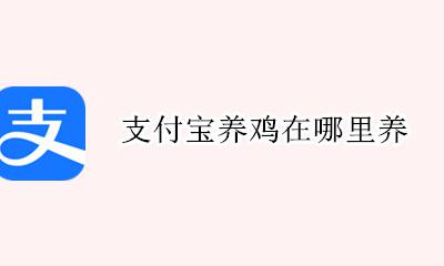支付宝养鸡在哪里养 支付宝的鸡一直被别人养着